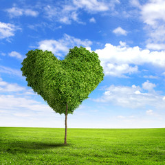 Green grass heart symbol