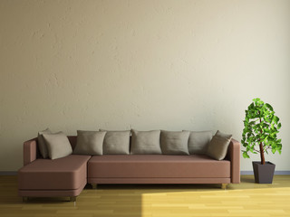 The sofa and the plant