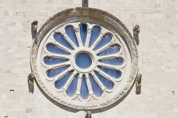 Cathedral of Trani. Puglia. Italy.