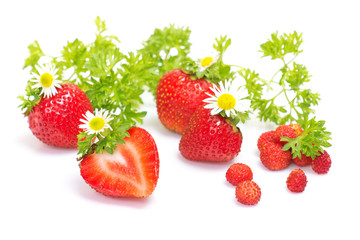 Strawberry fruits with flowers and leaves on white background