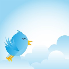 blue bird