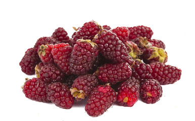 Fresh Raspberries isolated