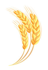 Wheat ears icon