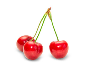 cherry isolated on white background