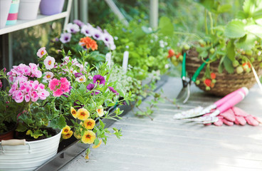 Greenhouse full of flowers, fruits, herbs