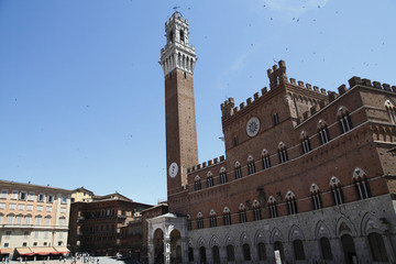 Fototapeta premium Siena, il Palazzo Pubblico con la Torre del Mangia