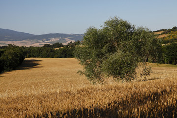 Siena, Val d'Orcia