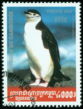 stamp printed Cambodia shows emperor penguin, circa 2001