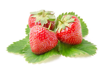 Three Fresh Strawberries with Leaves