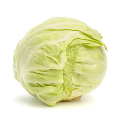 head of cabbage