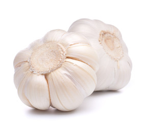 garlic bulb