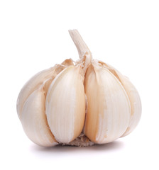 garlic bulb