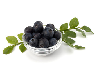 Blue bilberry or whortleberry