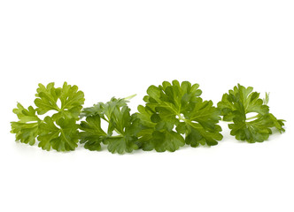 parsley