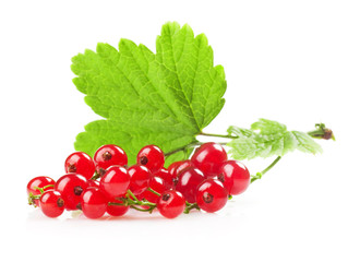 redcurrant