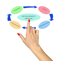 Diagram of development process