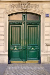 Obraz na płótnie Canvas Dark green drewniane drzwi Jena nr 46
