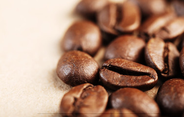 Coffee Bean. closeup