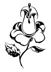 Abstract graphic flower