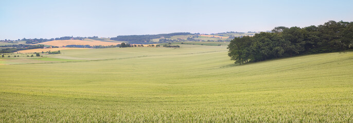 Fototapeta na wymiar Landcape z obszaru wiejskiego