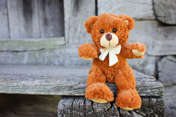 Plush Teddy Bear toy