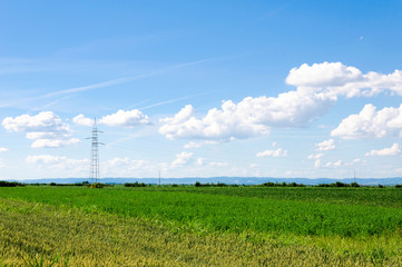 Field landscape