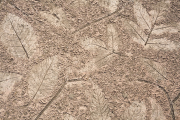 Design fossil on brick floor © joeyphoto