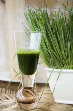 shot of wheatgrass juice