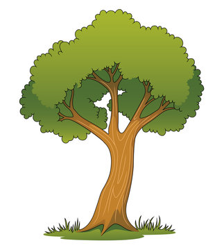 Cartoon Tree