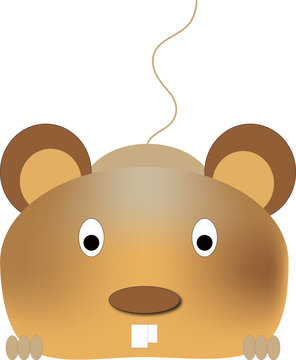 Maus