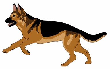 Deutscher Schäferhund ClipArt