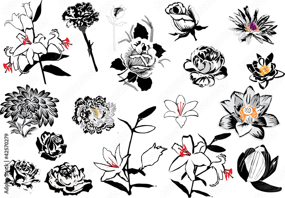 Sticker flower sketches collection isolated on white