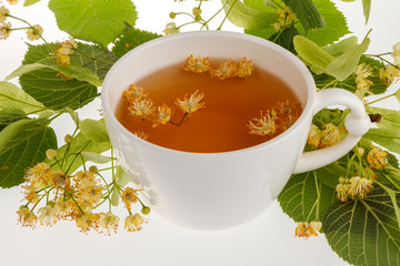 Linden tree flower tea