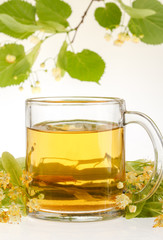 Linden tree flower tea