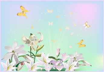 light illustration with lily flowers