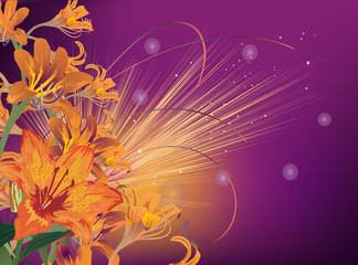 orange lily flowers on lilac background