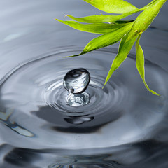 Naklejka na ściany i meble Fresh green bamboo leaf with water drop and water ripple