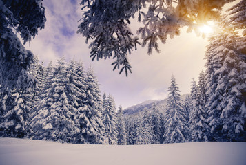 winter