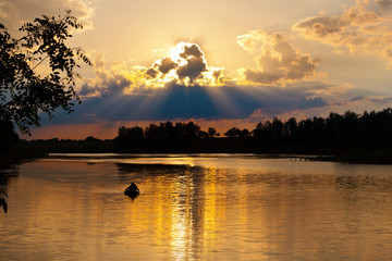 evening scene on lake