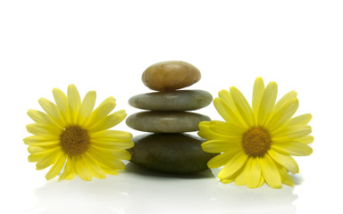 stones and yellow flowers