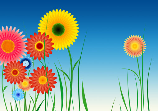Spirograph inspired flowers