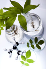 Biotechnology , Plant laboratory