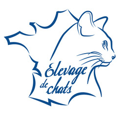 éleveur français de chiens et de chatons, chats