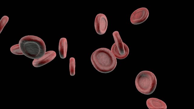 streaming blood cells on black
