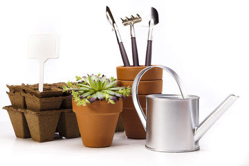 Flowers and garden tools on white background 