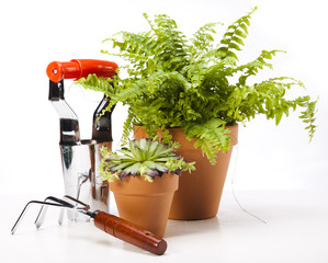 Gardening equipment on green plant