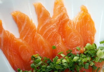 Salmon seshimi