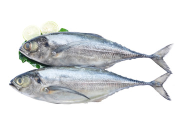 Raw fish