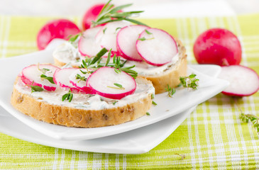 Fresh  sandwiches with radish