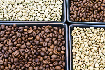 roasted and green coffee bean
